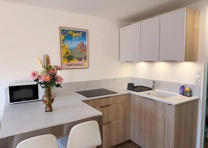 Le Petit Bleu - Boulouris 公寓